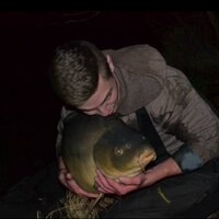 Adam Perkins (@carperperks) 's Twitter Profile