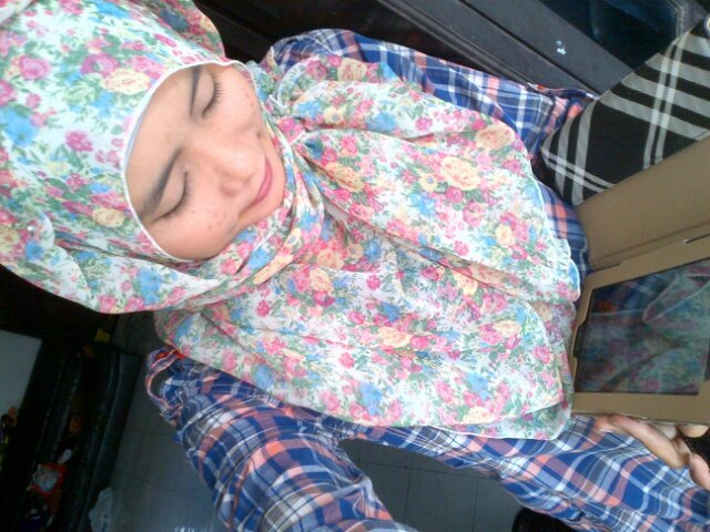 Wanita karir