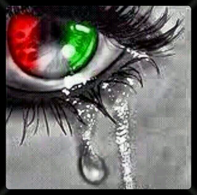 ‏هذا حسابي الجديد / كن عزيزا واياك ان تنحني مها كان الامر ضوريا !!! فربما لا تأتيك الفرصه لترفع راسك ابدا