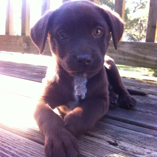 Follow Ellie and watch her play and grow.