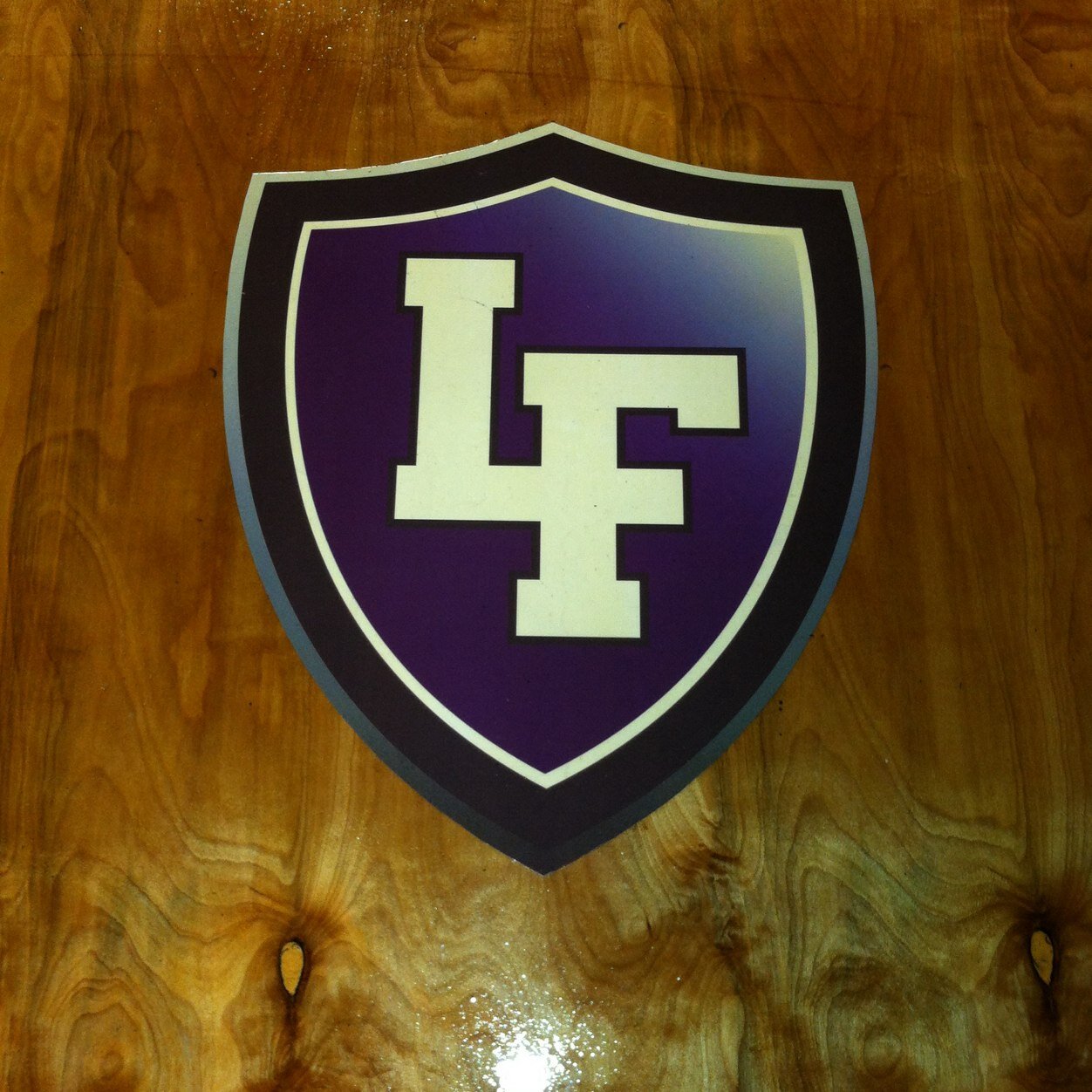 Flyer Athlete Strength Training (FAST) training for LIttle Falls Community Schools.  Supporter of Flyer Sports.  Educating on the importance of strength.