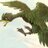 AtticusFinchV's profile image