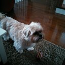 Daniel Blanchette - @blad424507 - Twitter