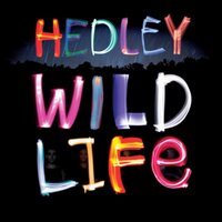 Hedley Fans Unite (@HedleyFanUnited) 's Twitter Profileg