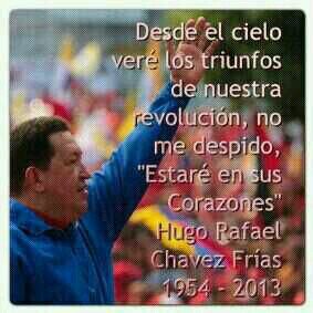 Militante Bolivariano, Revolucionario y Chavista Miembro Del PSUV