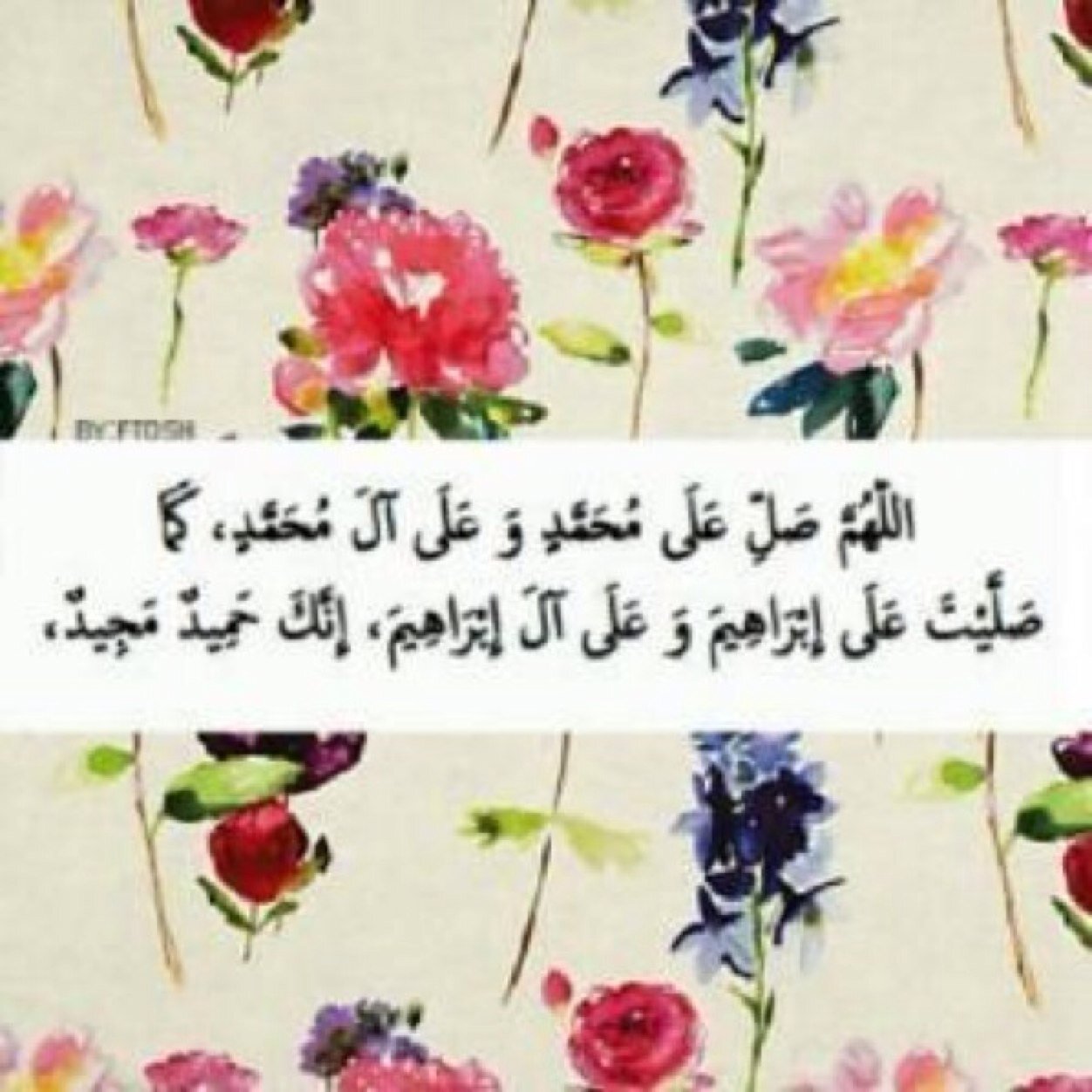 حساب يختص للأدعية والأذكآر لي ولوالداي و والد والداي ولجميع المسلمين والمسلمات الاحياء منهم والأموات .