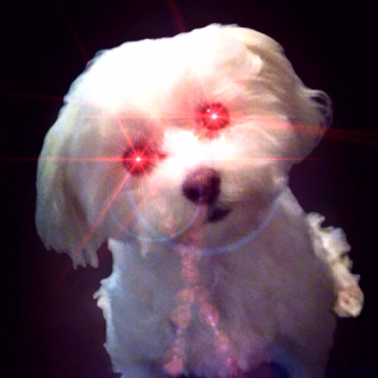 jasonbrown1166's profile picture. 