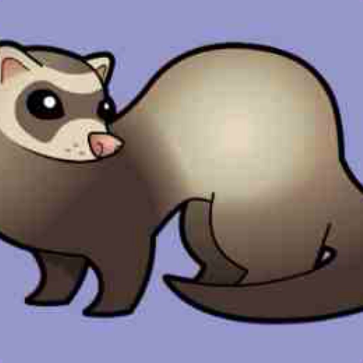 just a ferret trying to make an impact on the world