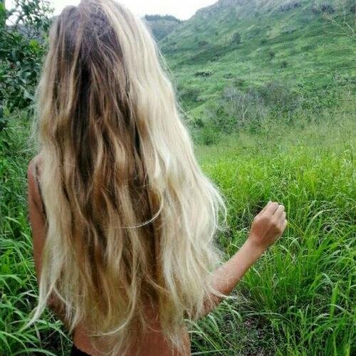 horngrybb's profile picture. 