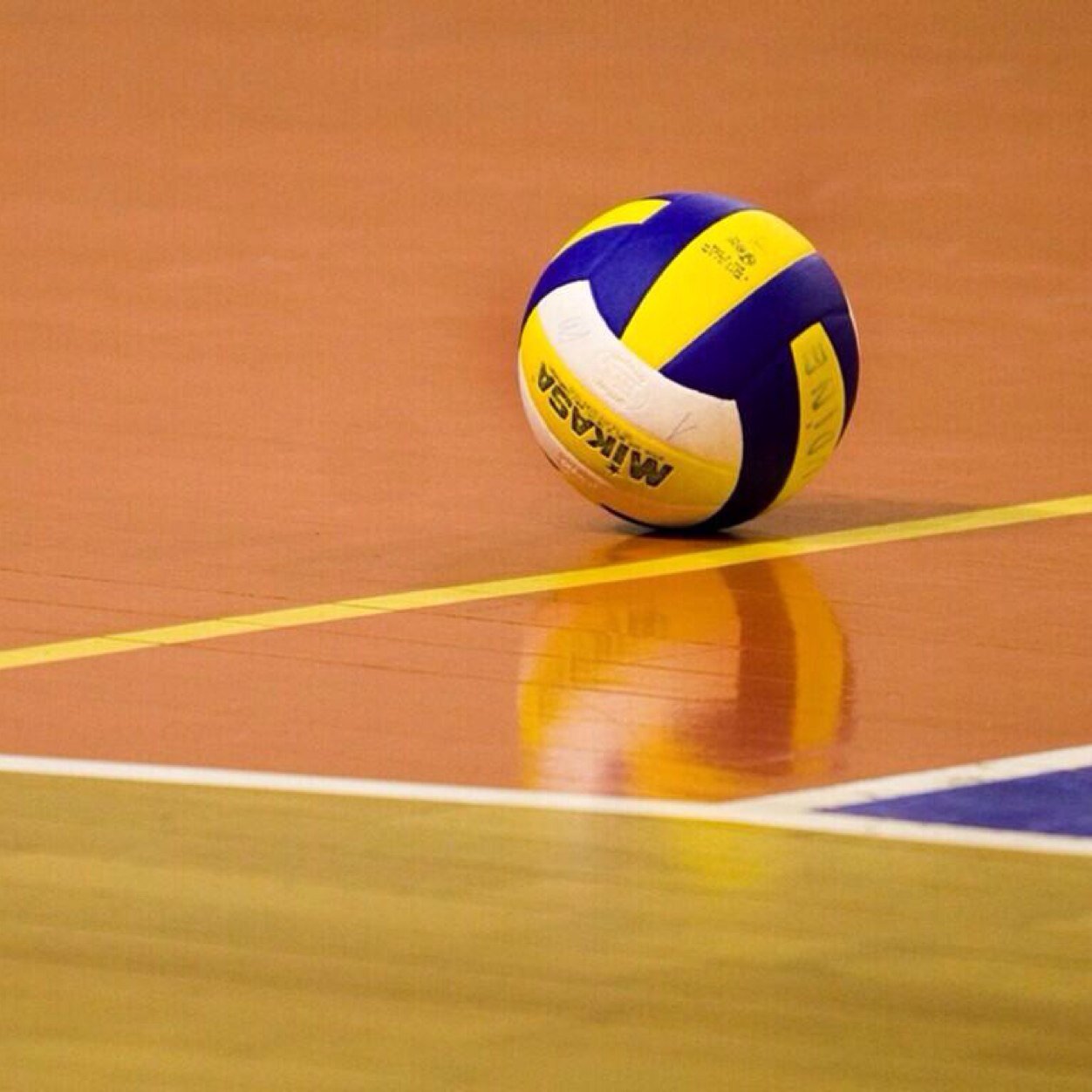 Volleyball is something I do best. Not all photos mine