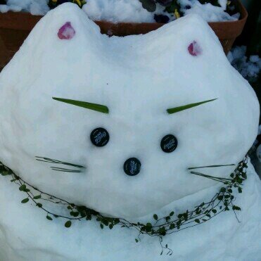 eseyadamon's profile picture. 趣味でスチル撮影をしたり、観劇したりしています。またに唄声を聴きたくなってライブハウスに行ったり。たまに打ち込みやったりシンセを弾いたりEWI吹いたりして遊んでいます(^O^)