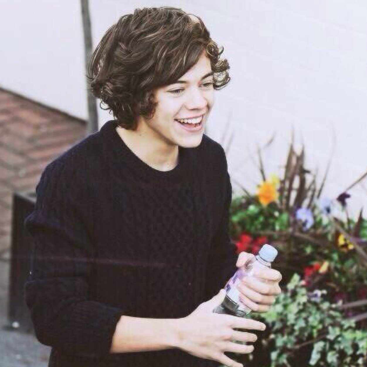 follow @teeniconharry & ask for a followback!