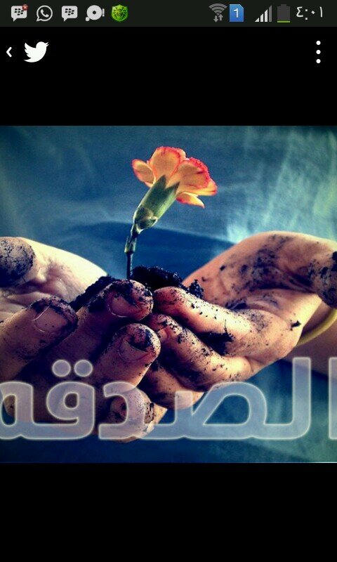 ‏‏‏‏‏‏‏‏‏‏‏الله يرحمكم ويغفرلكم جدي وجدتي وأخوي يعوض شبابك في الجنه 
اللهم أجعل تذكيري صدقه جاريه عن كل عزيز فقدته ع موتى المسلمين
أذكرو موتاكم بدعوه