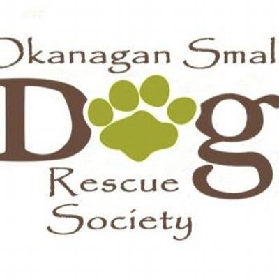 ok small dog rescue