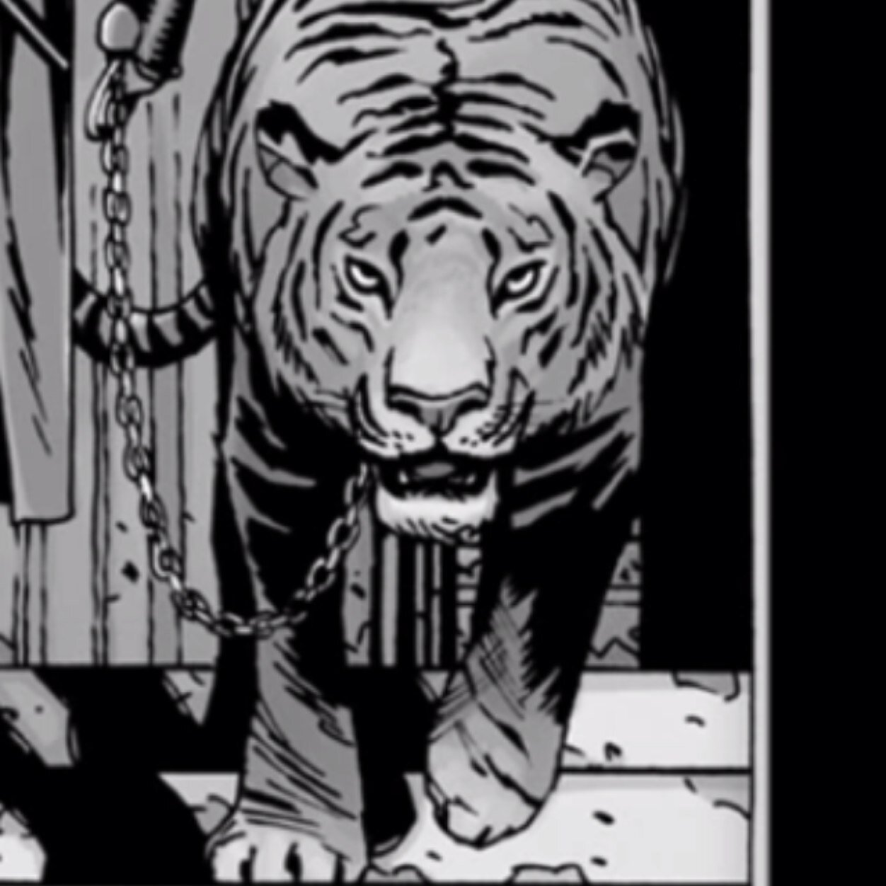 @Ezekiel_TWDC and @Michonne_TWDC 's loyal tiger. #LongLiveTheKing #MamatoSage