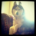 Rita Kaiser - @kaiserauctions - Twitter