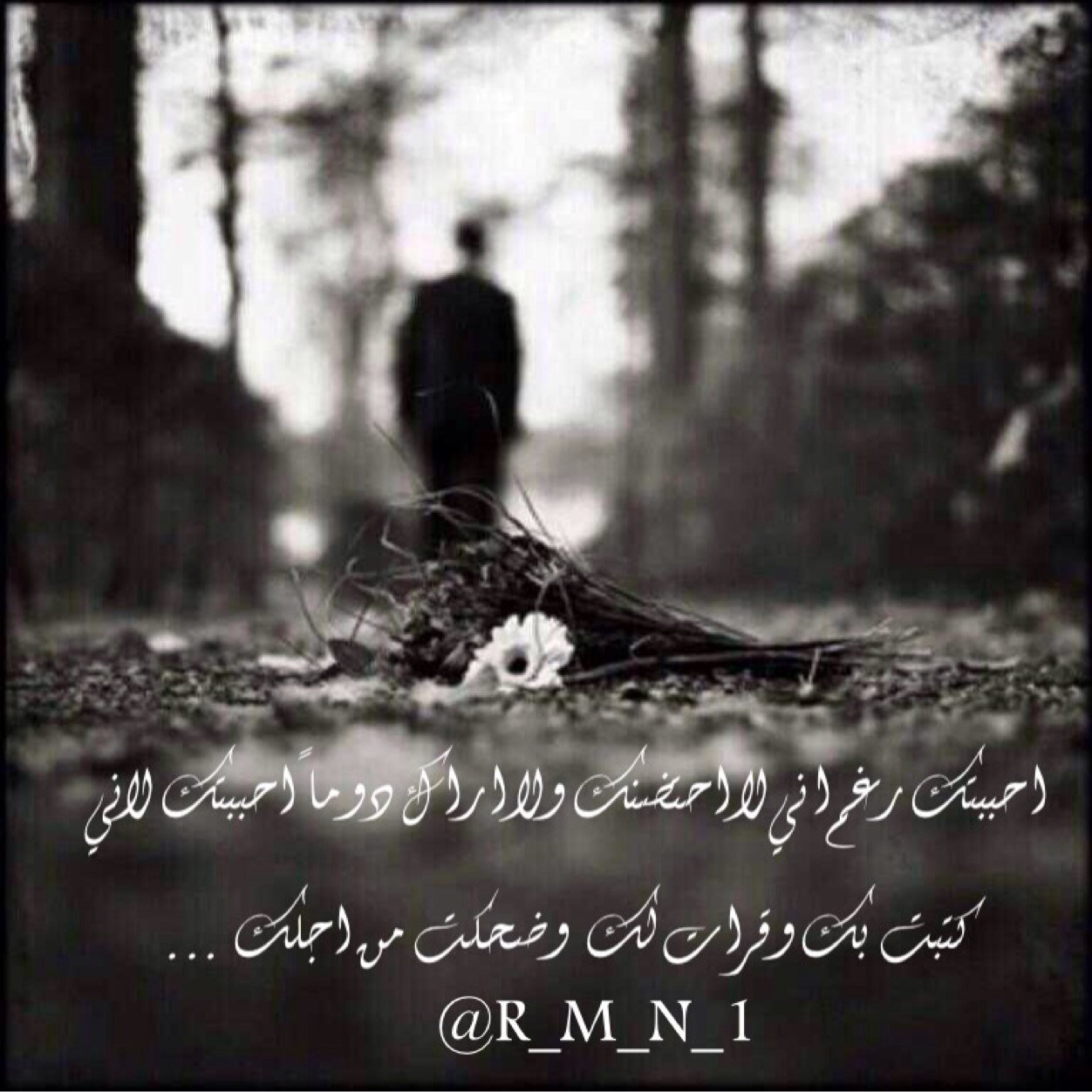 R_M_N_1's profile picture. https://t.co/B9wh2pibmF