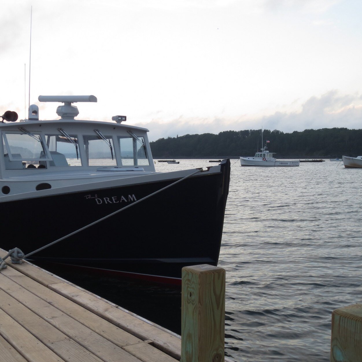 MCFDX's profile picture. 