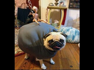 Daonly1_'s profile picture. Me inclino hacia el amor verdadero. Hacia mujeres y caballeros de verdad. Todo lo demas, no importa!