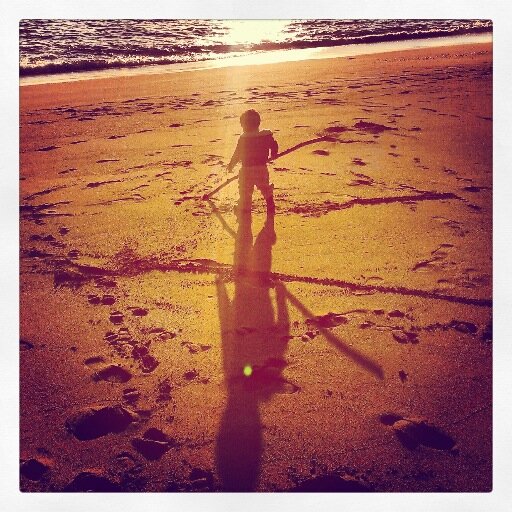 Ambergris81's profile picture. @ambergris81@universeodon.com