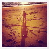 Michèle☮️ (@ambergris81) 's Twitter Profile