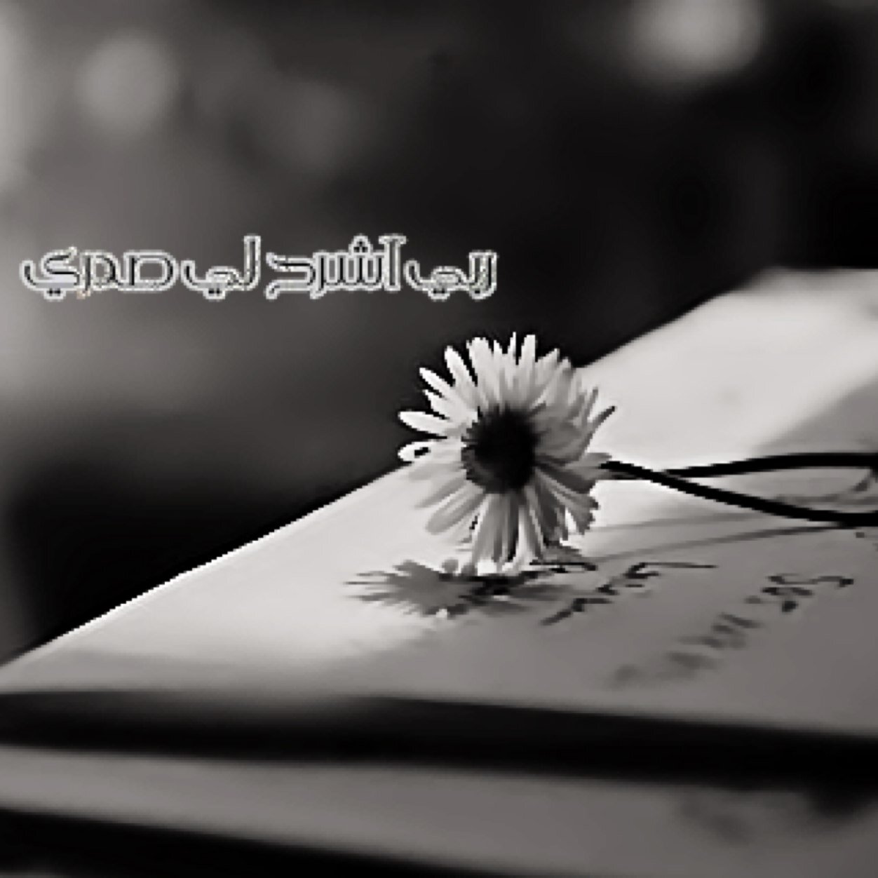 حساب خاص: للأدعيه والايات القرانيه والأحاديث النبوية والحكم المفيدة -أرجو دعم الحساب لتكون صدقه جاريه لنا ولجميع المسلمين (لنتشارگ في كسب الأجر❤️)