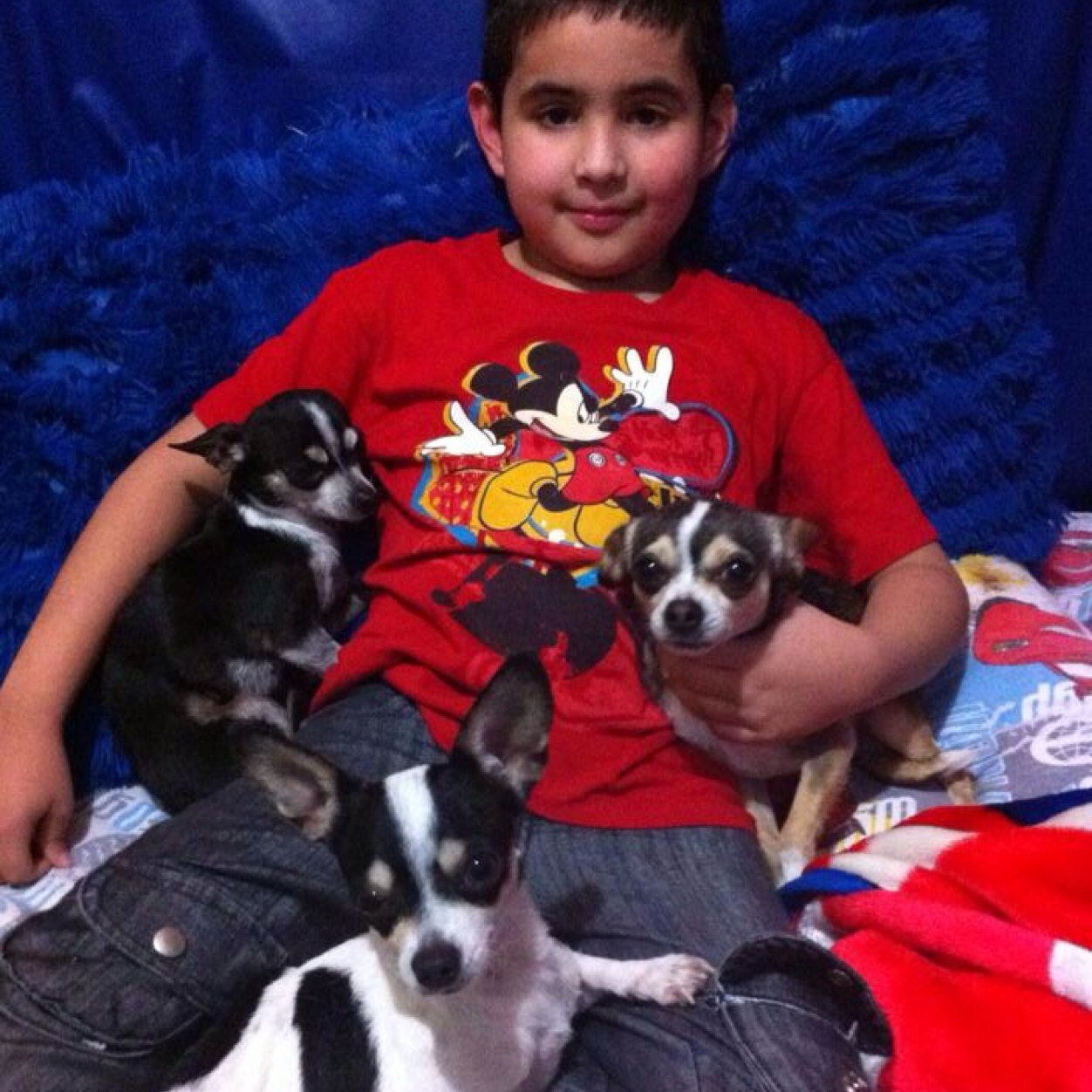 carinsilvaa's profile picture. 