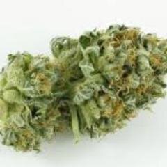 PicsofPot's profile picture. Roll up, chill out, and follow us for the best buds the web has to offer. Retweet to pass the word to other pot smokers.