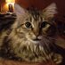 Amy Welty (@weltyamy) Twitter profile photo