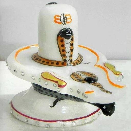 nehakashyap676's profile picture. studing in sacred heart degree college