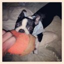 daniel arcand - @arcand_daniel - Twitter