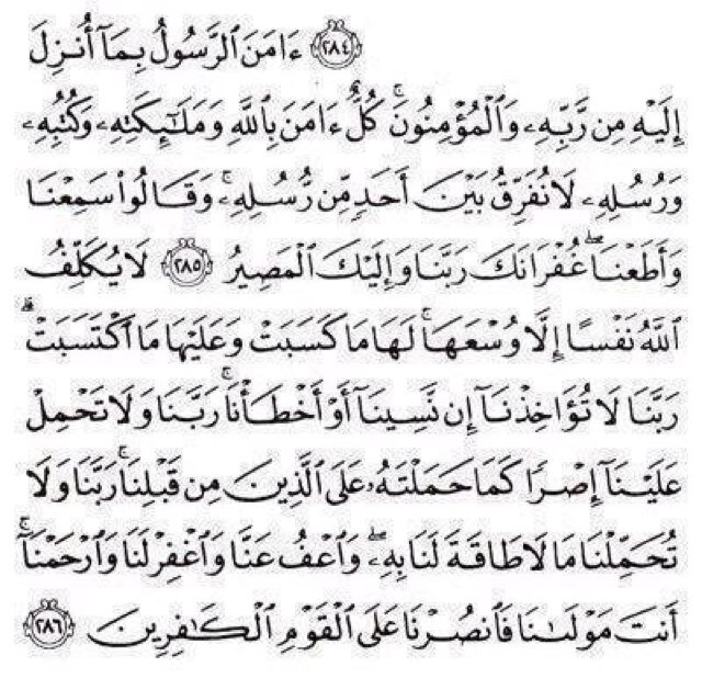 سبحان الله والحمدلله ولااله الا الله والله اكبر 
سبحان الله وبحمده سبحان الله العظيم 
استغفر الله