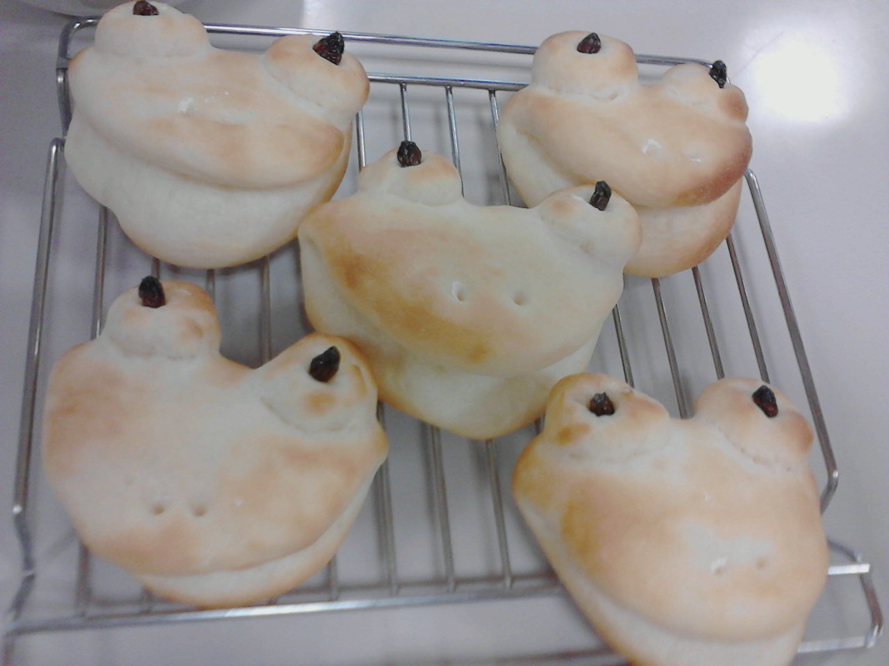 catnip0814's profile picture. 神奈川県出身。現在はさいたま市で家族と３人暮らししています。