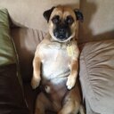 Mitch Stewart - @VMitch80 - Twitter