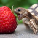 Isaac Patterson - @ishbar18 - Twitter