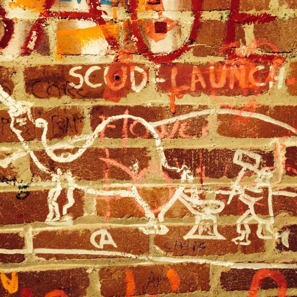 jrotelli's profile picture. I love my family, alpacas, triathlons, Vermont, unicorns and sun-dried tomatoes.  And cheese....I love cheese.