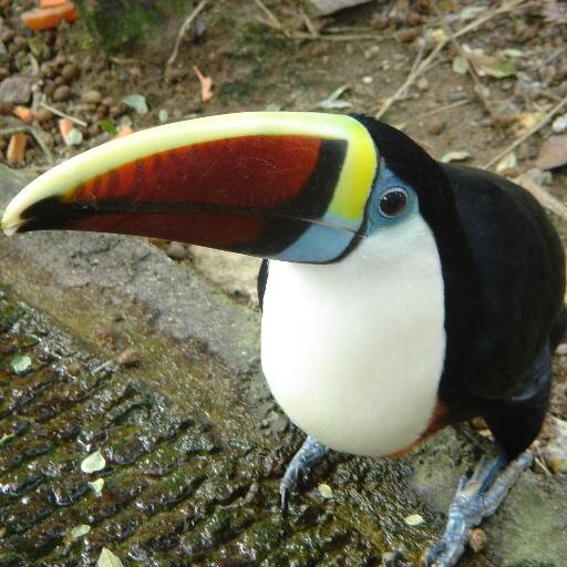 clauclau7778's profile picture. 