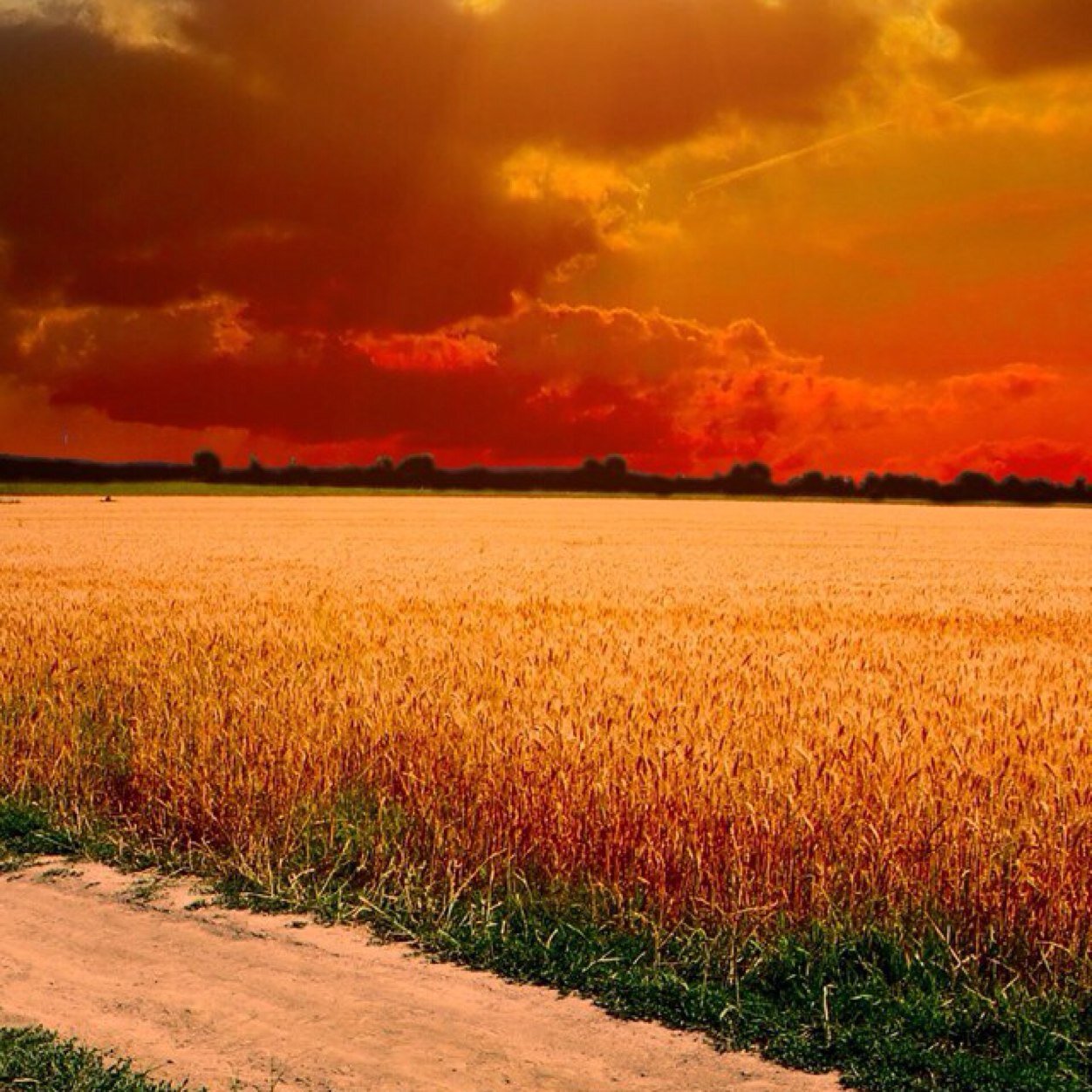 OmarOmerlego's profile picture. 