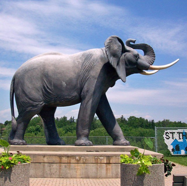 Not sure if St.Thomas put me here as a memorial or to be like Hey everybody checkout this kick ass elephant we killed