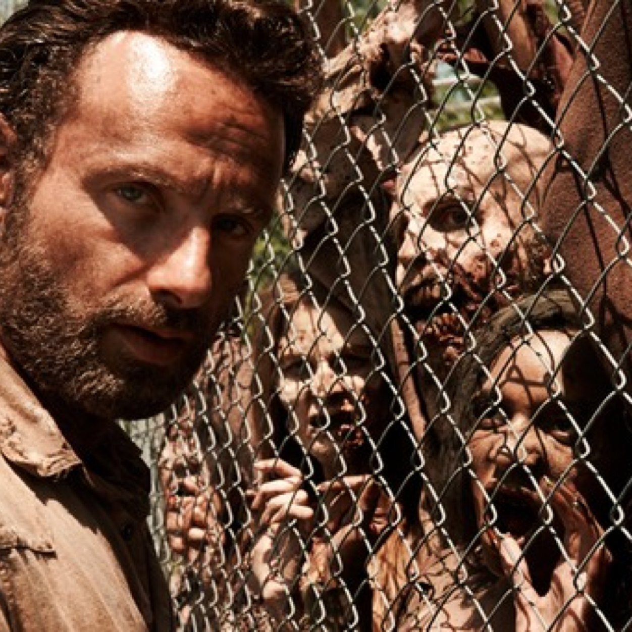 deadnews123's profile picture. Fans must follow!!! I post discussions and news about all things The Walking Dead, game of thrones, soa, and more! I follow back