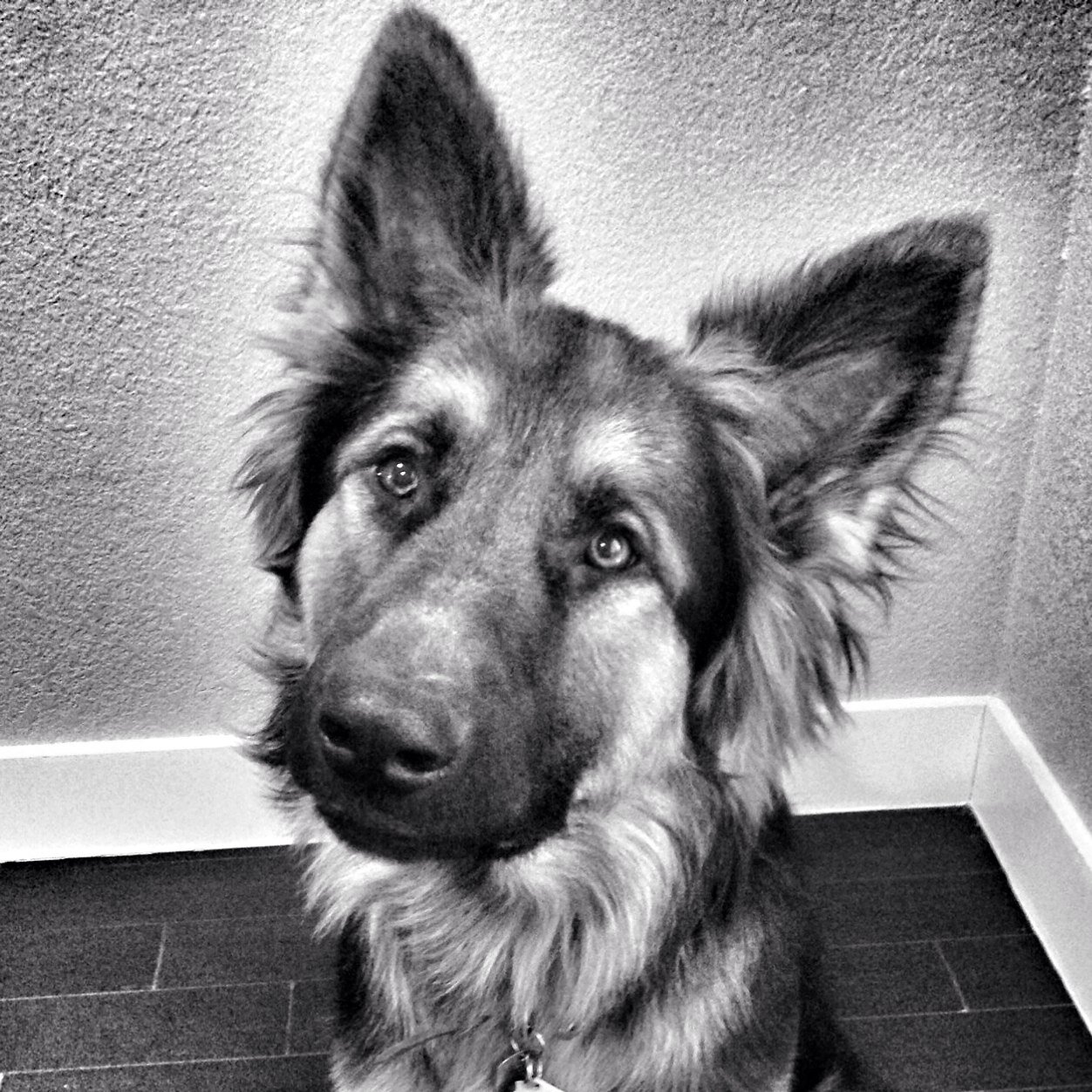 Caity Hinton Profile