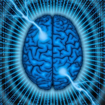 Latest brain research and brain training tips!
