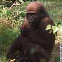 Alfred Faller - @FiredHeaters - Twitter