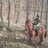 Alex_trikily's profile image