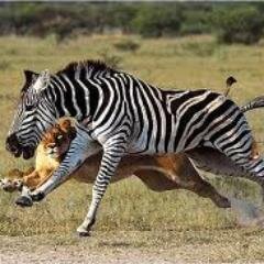 juerniek's profile picture. I love meeting people and making friends