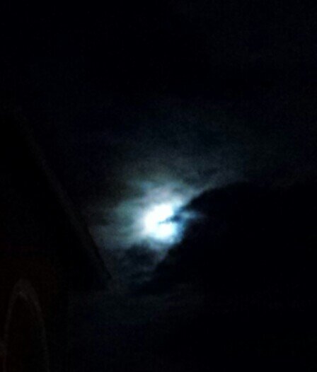 CharlieHardAuth's profile picture. Author. Debut novel A Long Way Down (In the Woods Publishing) Pending.