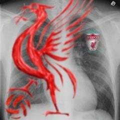 M_Setiarosa's profile picture. 