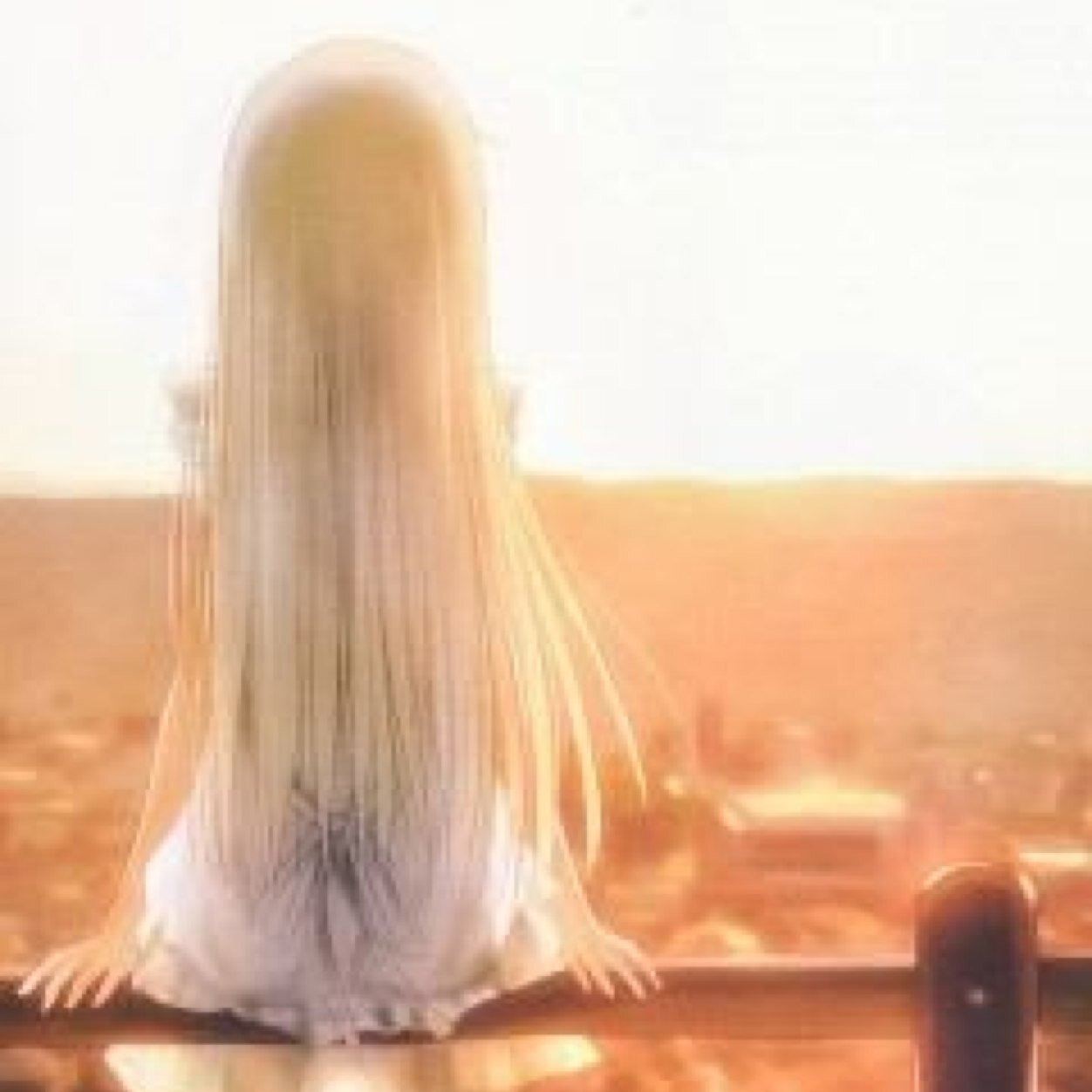 サーさんさんのプロフィール画像