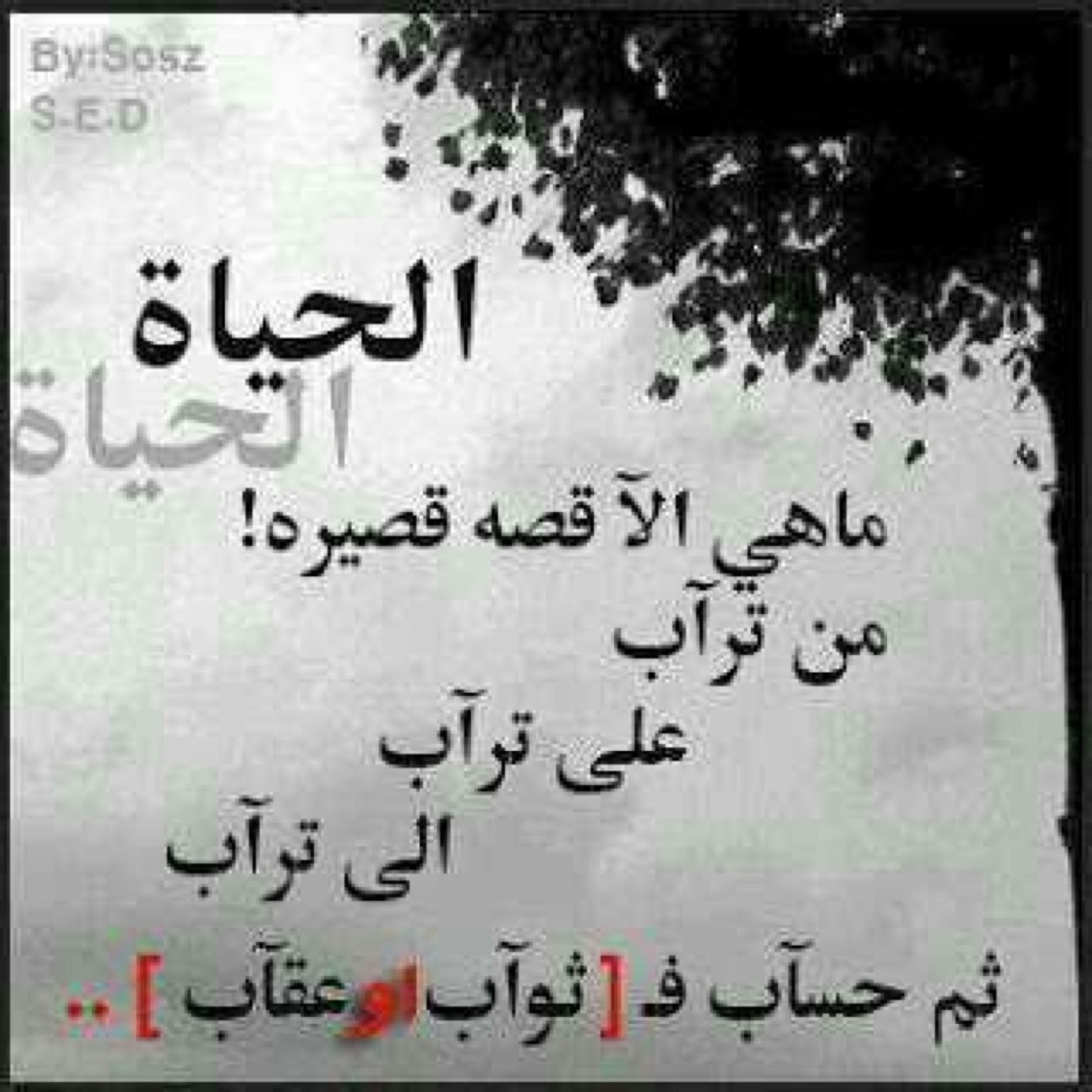 Name : mustafa jibreel Age : 16 years