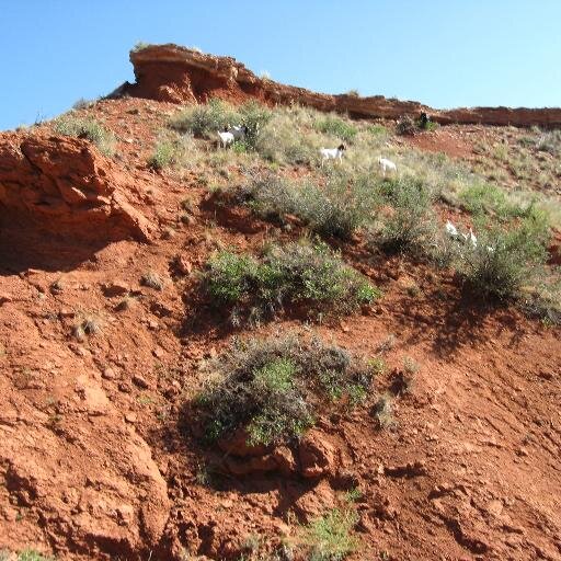 I ride the range on my horse , herd cows and goats on the mountains and plains of Colorado and Wyoming//and love jazz//blues, and [HL] and the CBB.